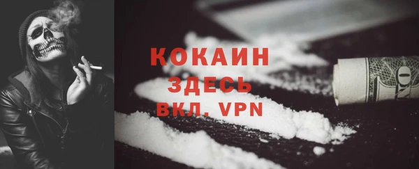сатива Магадан