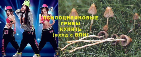 apvp Магас