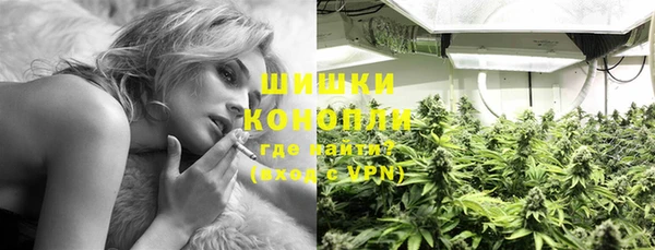сатива Магадан