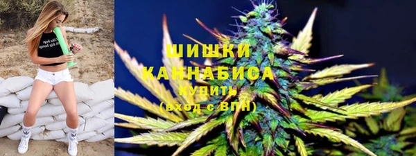 сатива Магадан