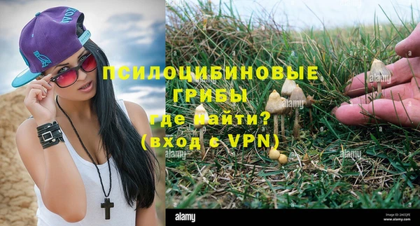 apvp Магас