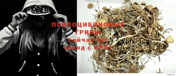 экстази Богородицк