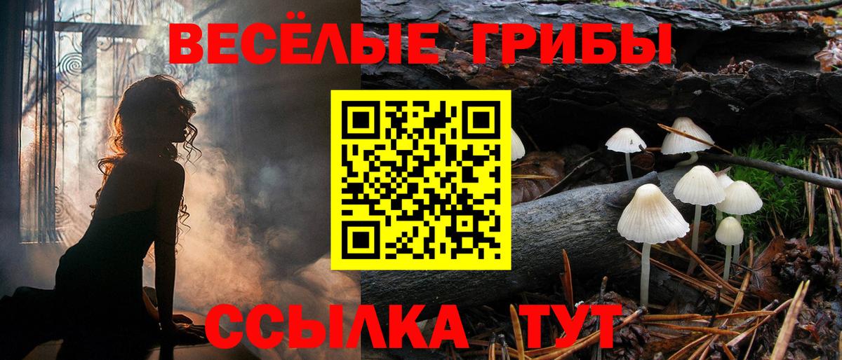 Псилоцибиновые грибы Magic Shrooms Калуга