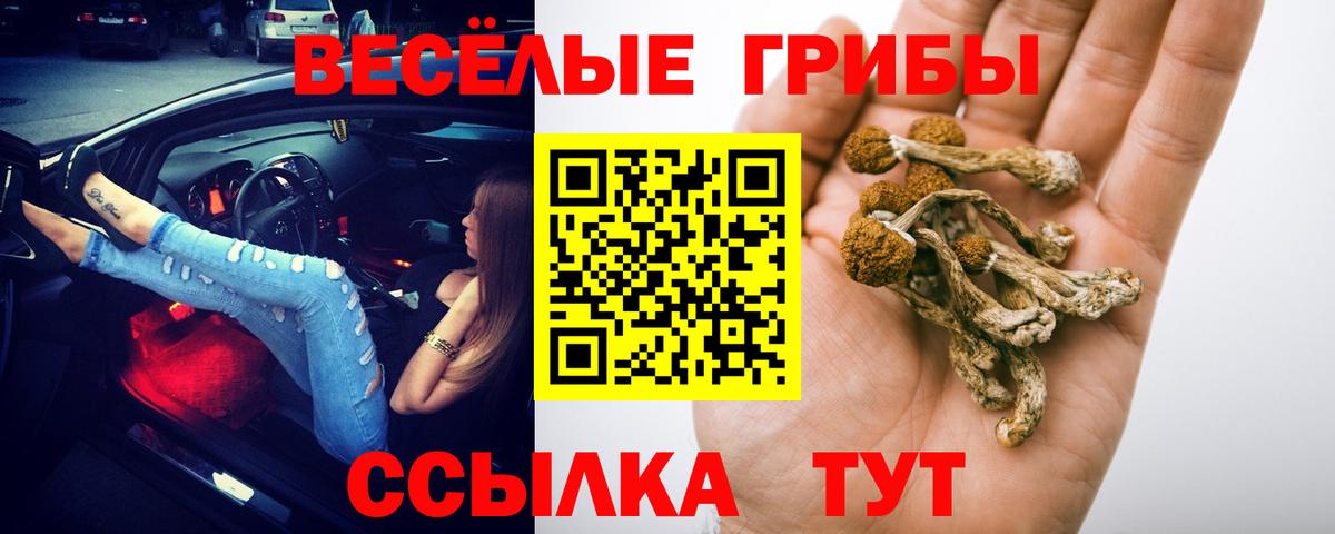 Галлюциногенные грибы ЛСД  Вход с VPN  Калуга 